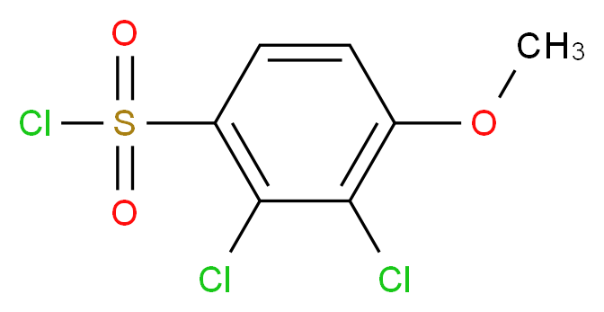 2,3-dichloro-4-methoxybenzene-1-sulfonyl chloride_Molecular_structure_CAS_)