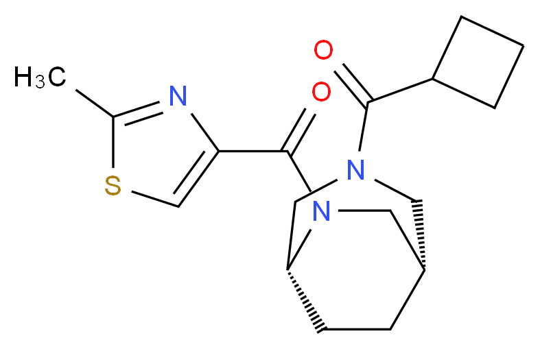 (1S*,5R*)-3-(cyclobutylcarbonyl)-6-[(2-methyl-1,3-thiazol-4-yl)carbonyl]-3,6-diazabicyclo[3.2.2]nonane_Molecular_structure_CAS_)