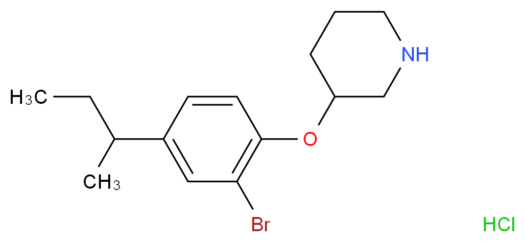 3-[2-Bromo-4-(sec-butyl)phenoxy]piperidine hydrochloride_Molecular_structure_CAS_)