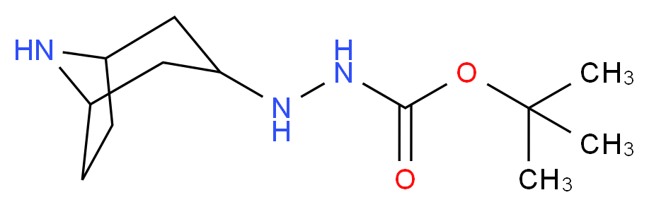 N'-8-azabicyclo[3.2.1]octan-3-yl(tert-butoxy)carbohydrazide_Molecular_structure_CAS_)