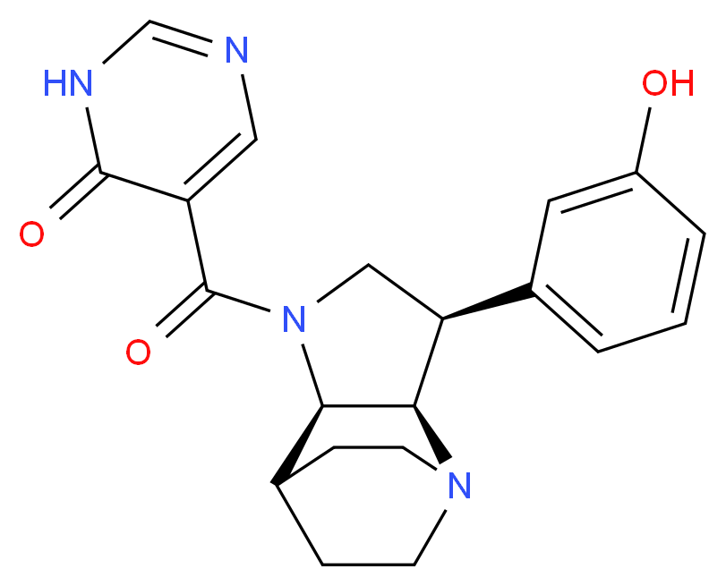 5-{[(3R*,3aR*,7aR*)-3-(3-hydroxyphenyl)hexahydro-4,7-ethanopyrrolo[3,2-b]pyridin-1(2H)-yl]carbonyl}pyrimidin-4(3H)-one_Molecular_structure_CAS_)