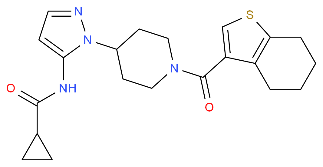 N-{1-[1-(4,5,6,7-tetrahydro-1-benzothien-3-ylcarbonyl)-4-piperidinyl]-1H-pyrazol-5-yl}cyclopropanecarboxamide_Molecular_structure_CAS_)