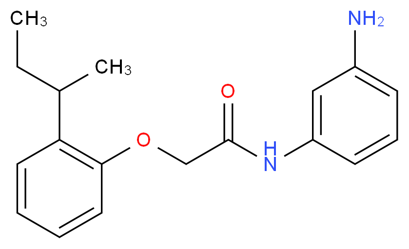 N-(3-Aminophenyl)-2-[2-(sec-butyl)phenoxy]-acetamide_Molecular_structure_CAS_)