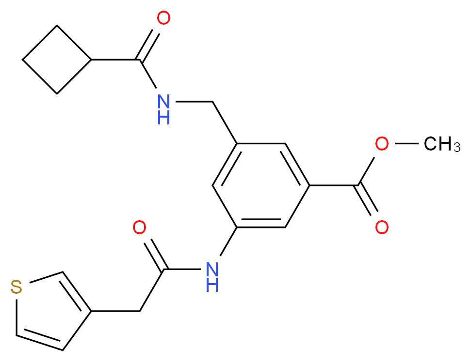 methyl 3-{[(cyclobutylcarbonyl)amino]methyl}-5-[(3-thienylacetyl)amino]benzoate_Molecular_structure_CAS_)