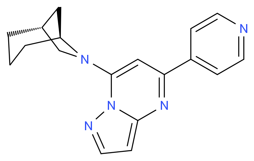 7-[(1R*,5S*)-6-azabicyclo[3.2.1]oct-6-yl]-5-(4-pyridinyl)pyrazolo[1,5-a]pyrimidine_Molecular_structure_CAS_)
