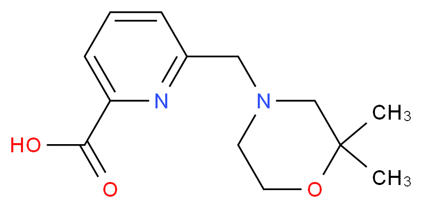 6-[(2,2-dimethylmorpholin-4-yl)methyl]pyridine-2-carboxylic acid_Molecular_structure_CAS_)