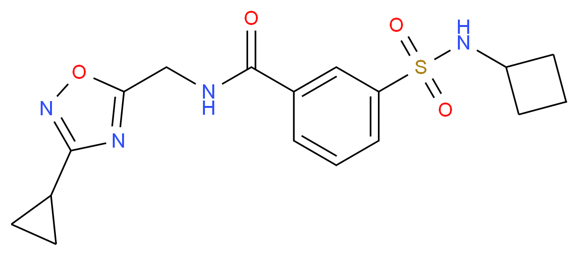 3-[(cyclobutylamino)sulfonyl]-N-[(3-cyclopropyl-1,2,4-oxadiazol-5-yl)methyl]benzamide_Molecular_structure_CAS_)
