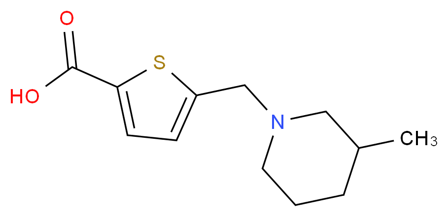 5-[(3-methylpiperidin-1-yl)methyl]thiophene-2-carboxylic acid_Molecular_structure_CAS_)