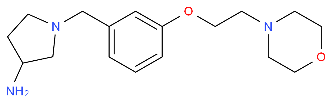 1-[3-(2-morpholin-4-ylethoxy)benzyl]pyrrolidin-3-amine_Molecular_structure_CAS_)