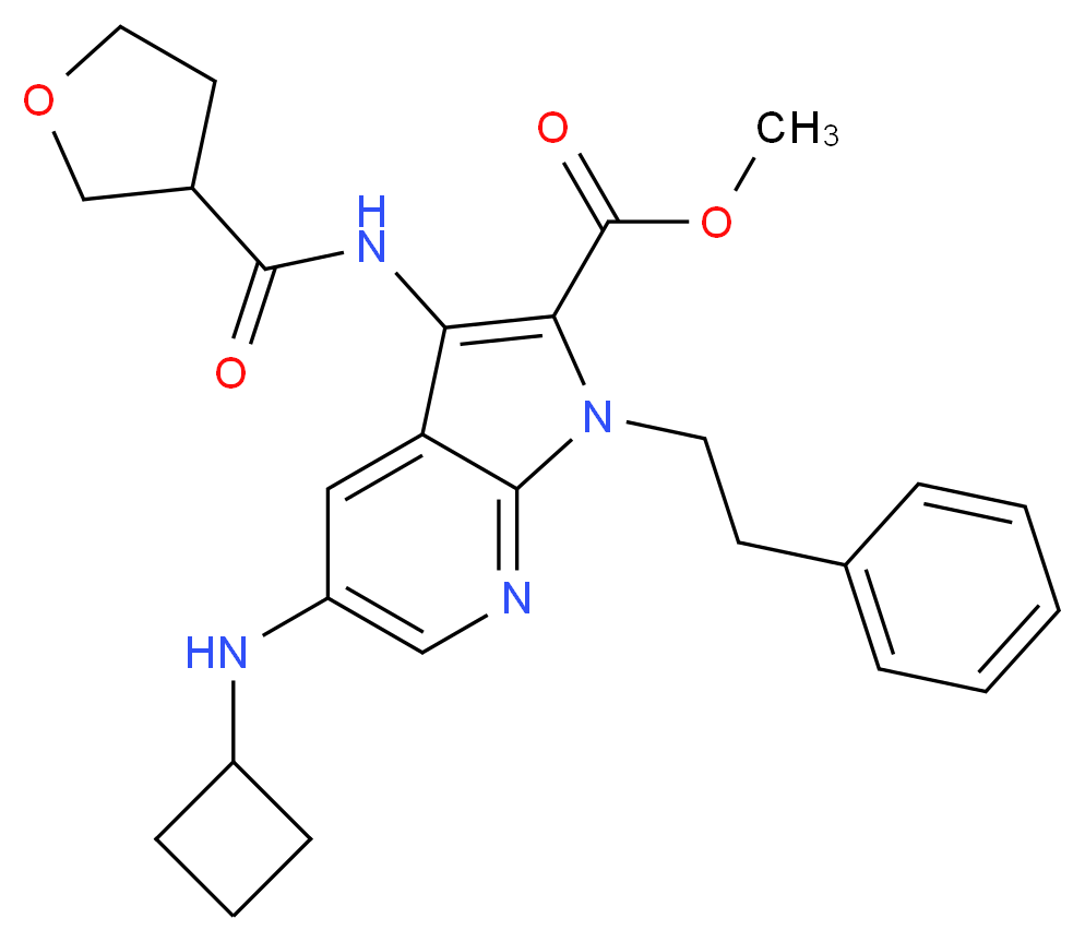 methyl 5-(cyclobutylamino)-1-(2-phenylethyl)-3-[(tetrahydro-3-furanylcarbonyl)amino]-1H-pyrrolo[2,3-b]pyridine-2-carboxylate_Molecular_structure_CAS_)