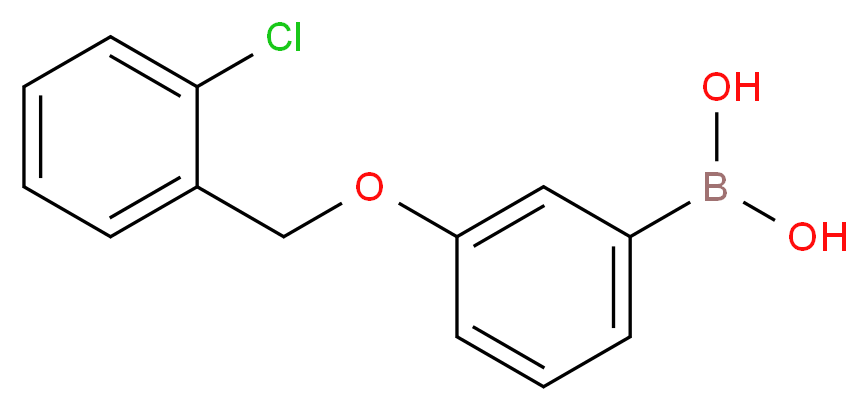 3-(2-Chlorobenzyloxy)phenylboronic acid_Molecular_structure_CAS_845551-45-3)