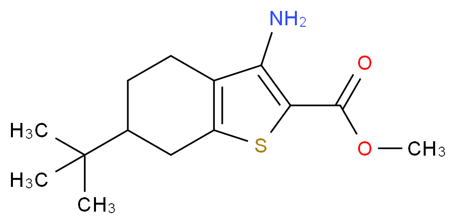 methyl 3-amino-6-tert-butyl-4,5,6,7-tetrahydro-1-benzothiophene-2-carboxylate_Molecular_structure_CAS_)