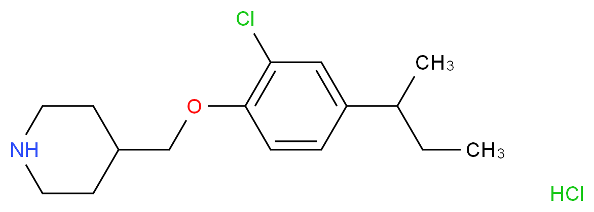 4-{[4-(sec-Butyl)-2-chlorophenoxy]-methyl}piperidine hydrochloride_Molecular_structure_CAS_)