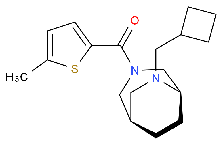 (1R*,5R*)-6-(cyclobutylmethyl)-3-[(5-methyl-2-thienyl)carbonyl]-3,6-diazabicyclo[3.2.2]nonane_Molecular_structure_CAS_)