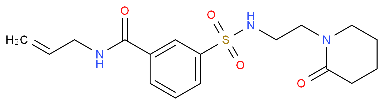 N-allyl-3-({[2-(2-oxopiperidin-1-yl)ethyl]amino}sulfonyl)benzamide_Molecular_structure_CAS_)