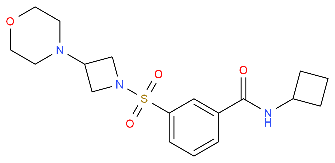 N-cyclobutyl-3-[(3-morpholin-4-ylazetidin-1-yl)sulfonyl]benzamide_Molecular_structure_CAS_)
