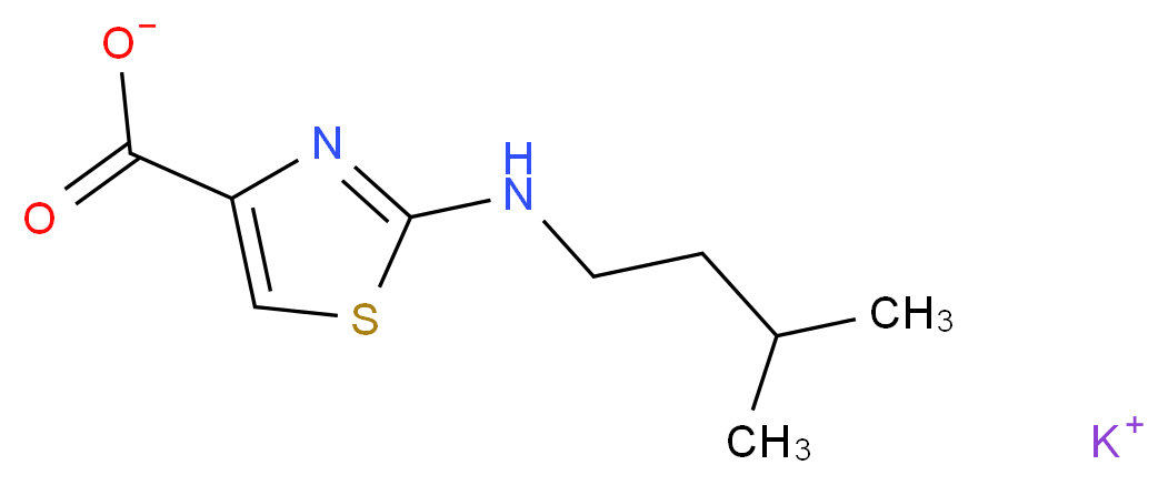 potassium 2-[(3-methylbutyl)amino]-1,3-thiazole-4-carboxylate_Molecular_structure_CAS_)