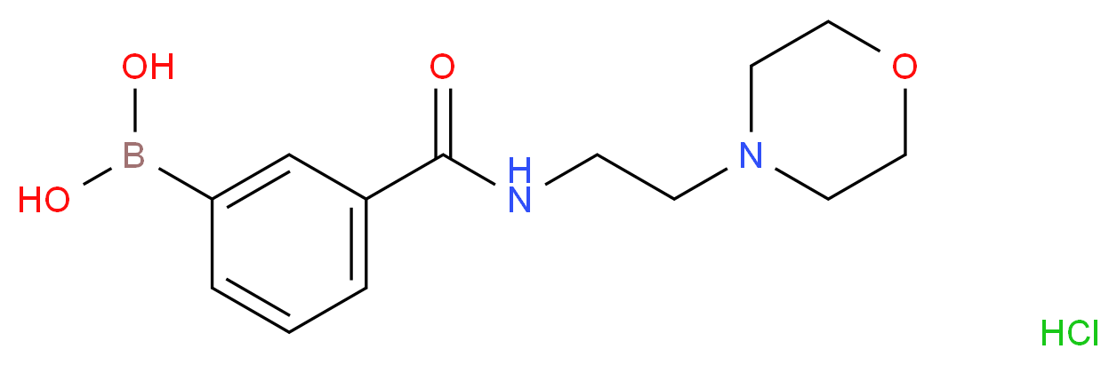3-[2-(4-Morpholinyl)ethylcarbamoyl]benzeneboronic acid hydrochloride_Molecular_structure_CAS_957060-89-8)