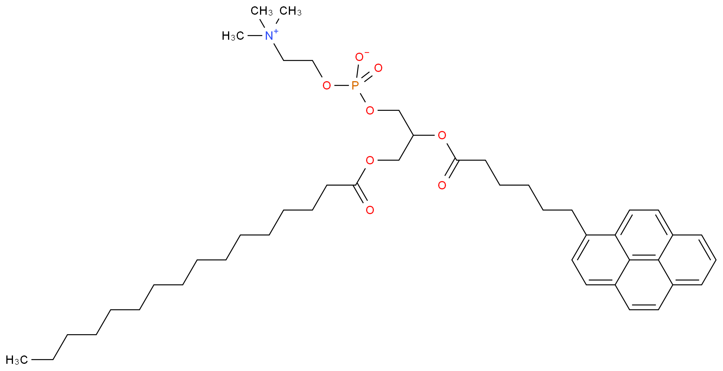 1-Palmitoyl-2-(pyren-1-yl)hexanoyl-sn-glycero-3-phosphocholine_Molecular_structure_CAS_103625-33-8)