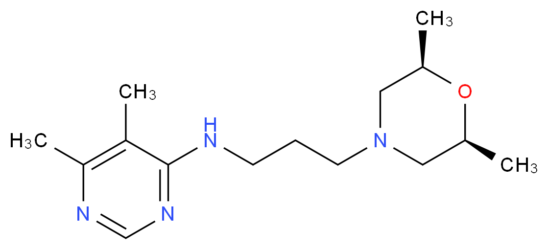 N-{3-[(2R*,6S*)-2,6-dimethylmorpholin-4-yl]propyl}-5,6-dimethylpyrimidin-4-amine_Molecular_structure_CAS_)