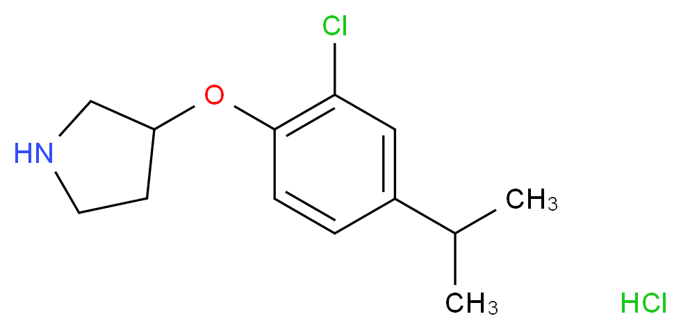 3-(2-Chloro-4-isopropylphenoxy)pyrrolidine hydrochloride_Molecular_structure_CAS_)