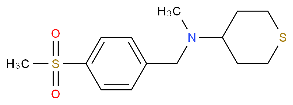 N-methyl-N-[4-(methylsulfonyl)benzyl]tetrahydro-2H-thiopyran-4-amine_Molecular_structure_CAS_)