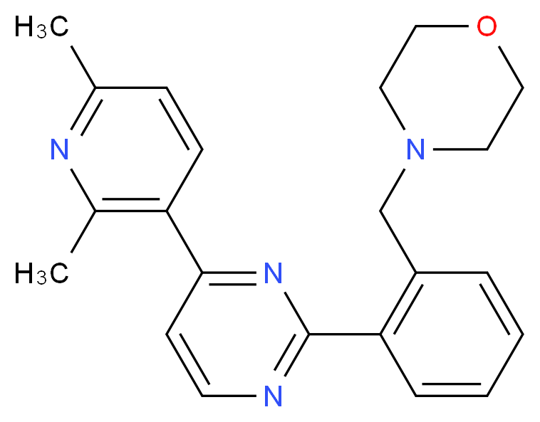 4-{2-[4-(2,6-dimethylpyridin-3-yl)pyrimidin-2-yl]benzyl}morpholine_Molecular_structure_CAS_)