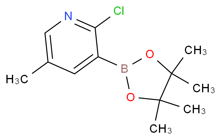 2-Chloro-5-methyl-3-(4,4,5,5-tetramethyl-1,3,2-dioxaborolan-2-yl)pyridine_Molecular_structure_CAS_)