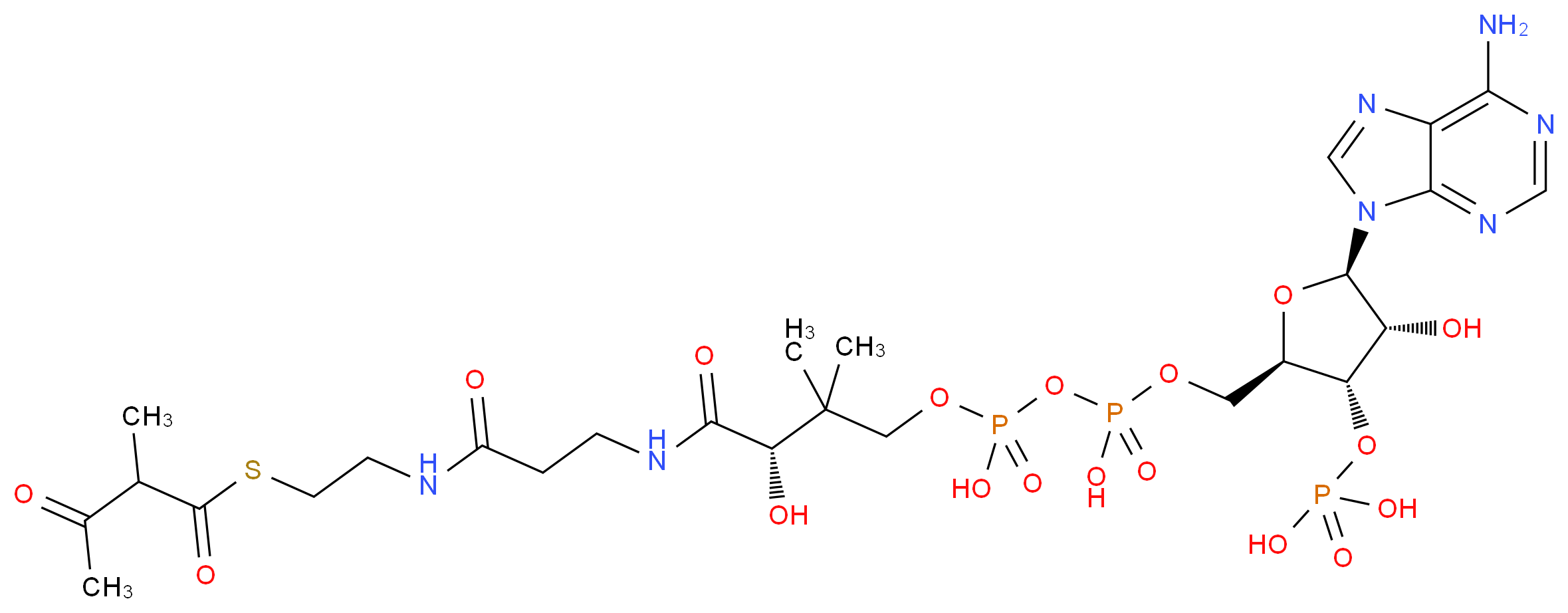 2-Methylacetoacetyl-CoA_Molecular_structure_CAS_6712-01-2)
