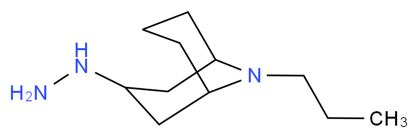 3-hydrazinyl-9-propyl-9-azabicyclo[3.3.1]nonane_Molecular_structure_CAS_)