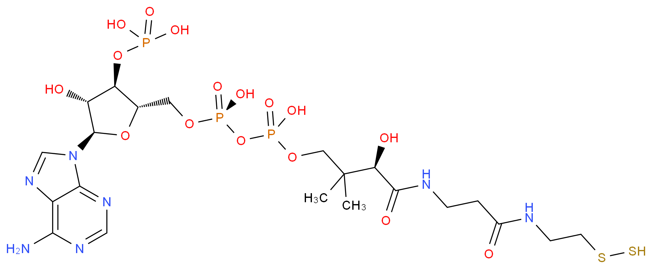 Coenzyme a Persulfide_Molecular_structure_CAS_)