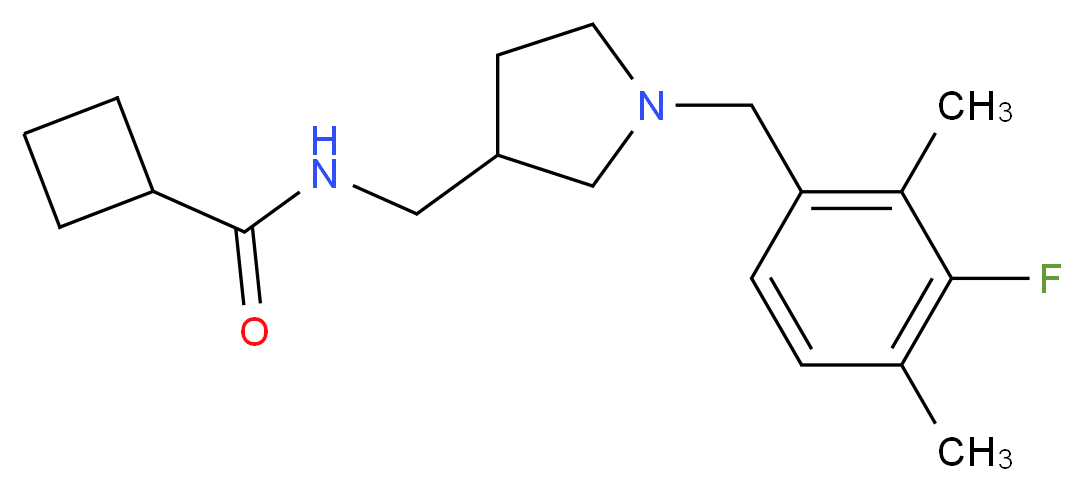 N-{[1-(3-fluoro-2,4-dimethylbenzyl)pyrrolidin-3-yl]methyl}cyclobutanecarboxamide_Molecular_structure_CAS_)