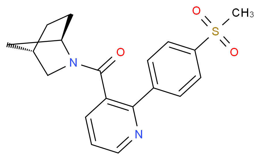(1R*,4S*)-2-({2-[4-(methylsulfonyl)phenyl]pyridin-3-yl}carbonyl)-2-azabicyclo[2.2.1]heptane_Molecular_structure_CAS_)