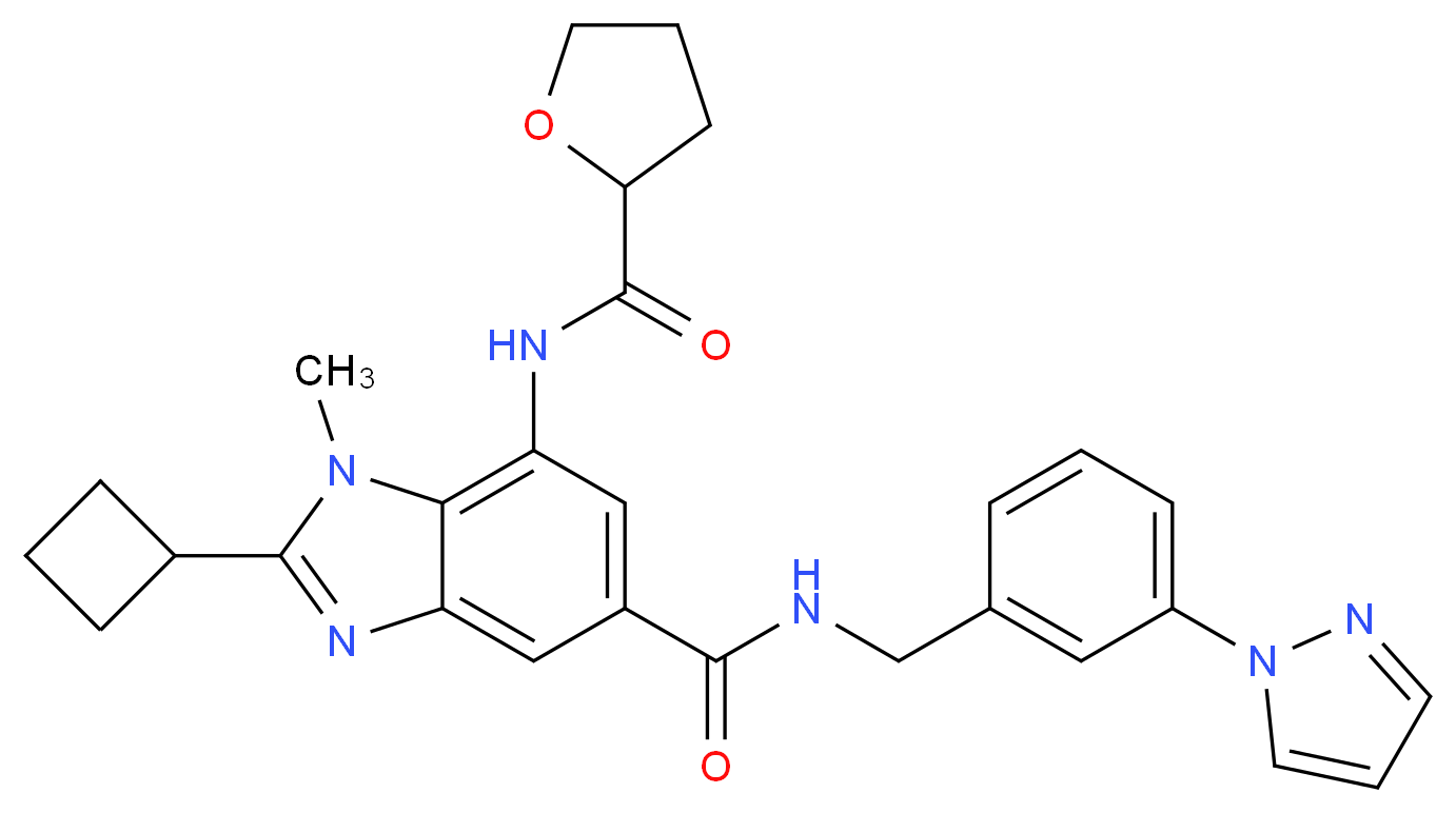 2-cyclobutyl-1-methyl-N-[3-(1H-pyrazol-1-yl)benzyl]-7-[(tetrahydro-2-furanylcarbonyl)amino]-1H-benzimidazole-5-carboxamide_Molecular_structure_CAS_)
