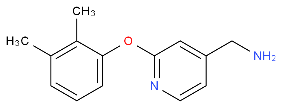 [2-(2,3-dimethylphenoxy)pyridin-4-yl]methanamine_Molecular_structure_CAS_)