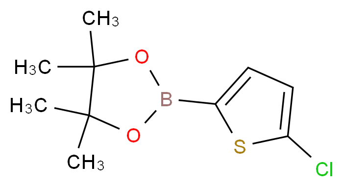 2-(5-Chlorothiophen-2-yl)-4,4,5,5-tetraMethyl-1,3,2-dioxaborolane_Molecular_structure_CAS_635305-24-7)