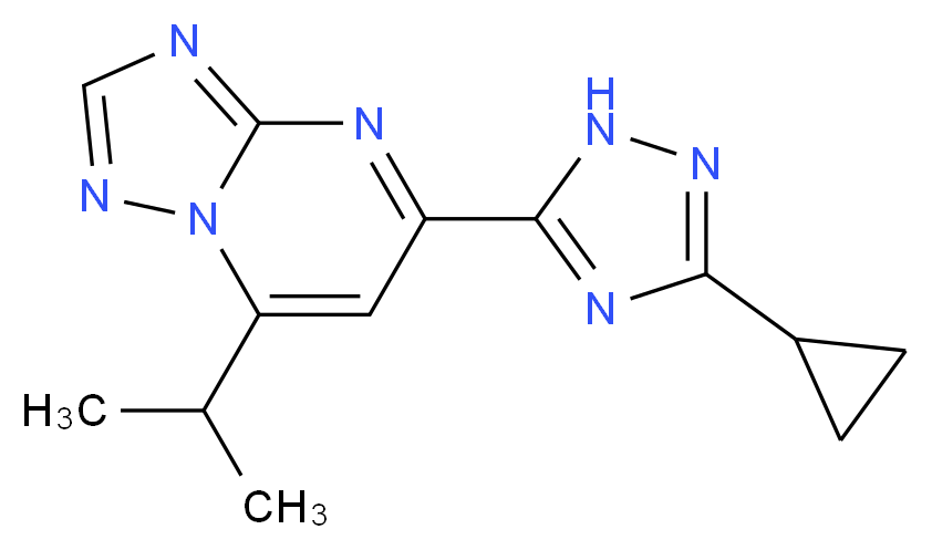 5-(3-cyclopropyl-1H-1,2,4-triazol-5-yl)-7-isopropyl[1,2,4]triazolo[1,5-a]pyrimidine_Molecular_structure_CAS_)