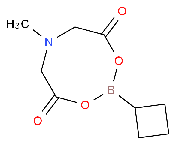 Cyclobutylboronic acid MIDA ester_Molecular_structure_CAS_1104637-37-7)