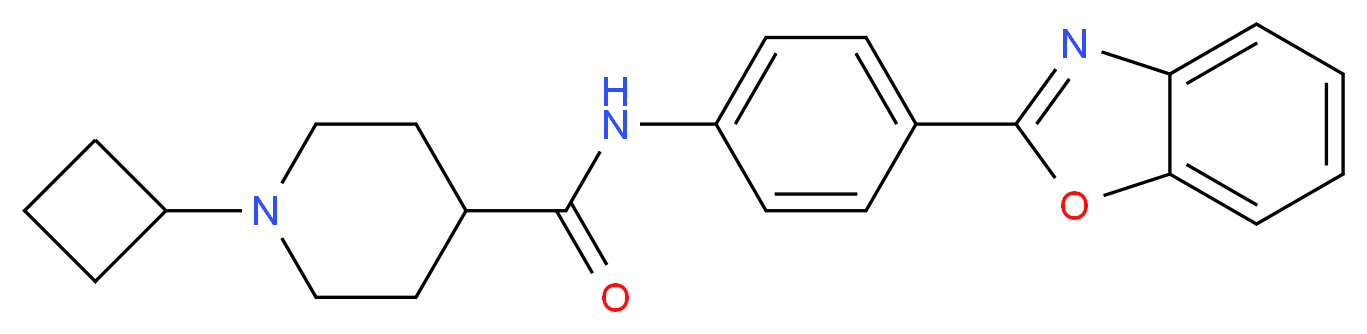 N-[4-(1,3-benzoxazol-2-yl)phenyl]-1-cyclobutyl-4-piperidinecarboxamide_Molecular_structure_CAS_)