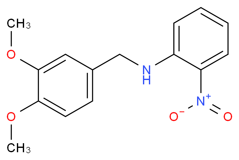 (3,4-dimethoxybenzyl)(2-nitrophenyl)amine_Molecular_structure_CAS_5729-19-1)