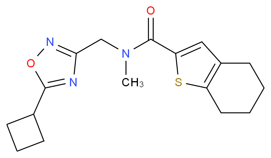 N-[(5-cyclobutyl-1,2,4-oxadiazol-3-yl)methyl]-N-methyl-4,5,6,7-tetrahydro-1-benzothiophene-2-carboxamide_Molecular_structure_CAS_)