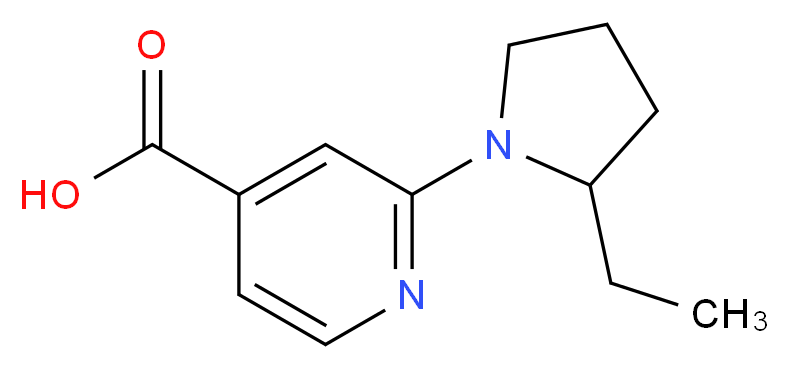 2-(2-ethylpyrrolidin-1-yl)pyridine-4-carboxylic acid_Molecular_structure_CAS_)