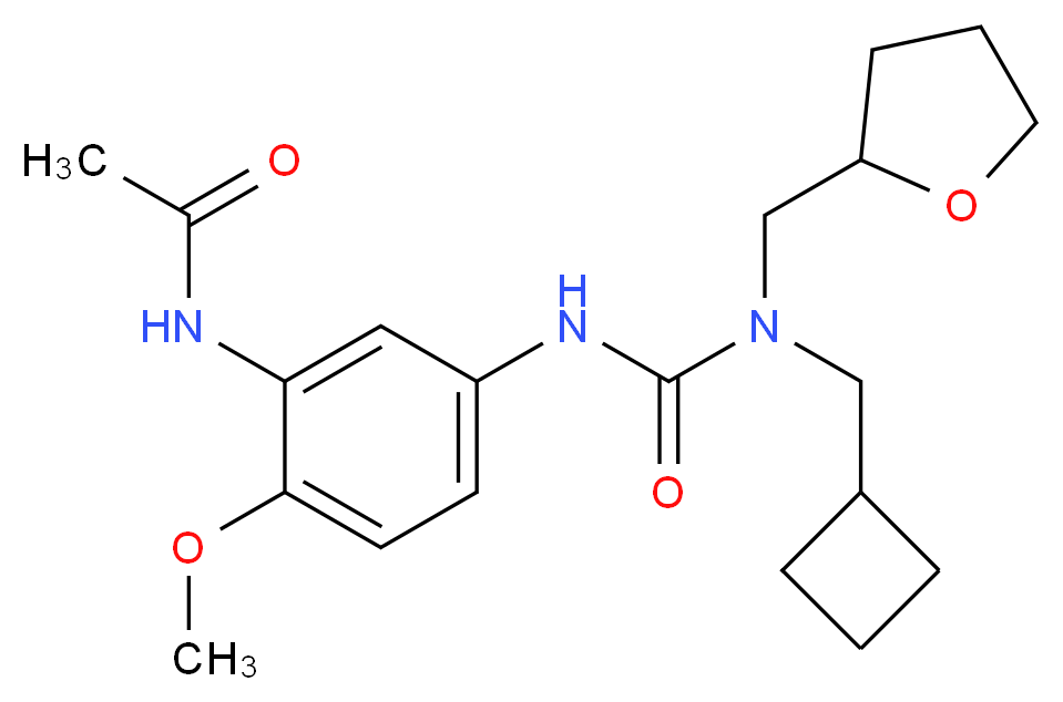 N-[5-({[(cyclobutylmethyl)(tetrahydrofuran-2-ylmethyl)amino]carbonyl}amino)-2-methoxyphenyl]acetamide_Molecular_structure_CAS_)