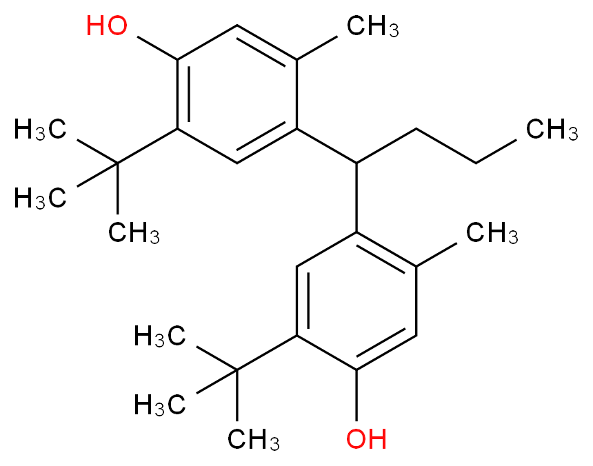 4,4'-BUTYLIDENEBIS-6-tert-BUTYL-m-CRESOL_Molecular_structure_CAS_85-60-9)