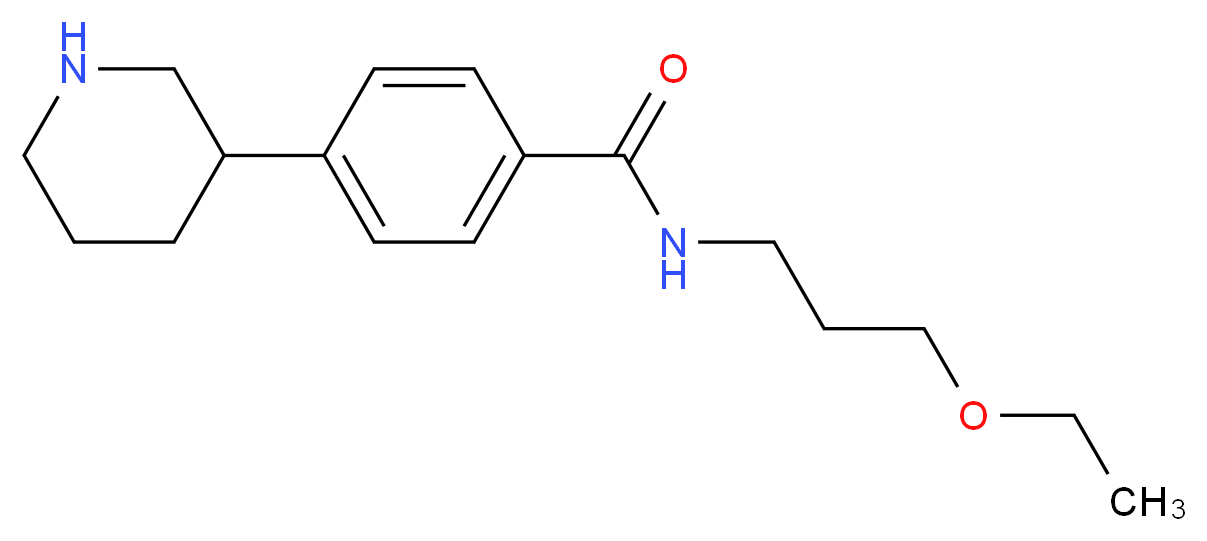 N-(3-ethoxypropyl)-4-piperidin-3-ylbenzamide_Molecular_structure_CAS_)