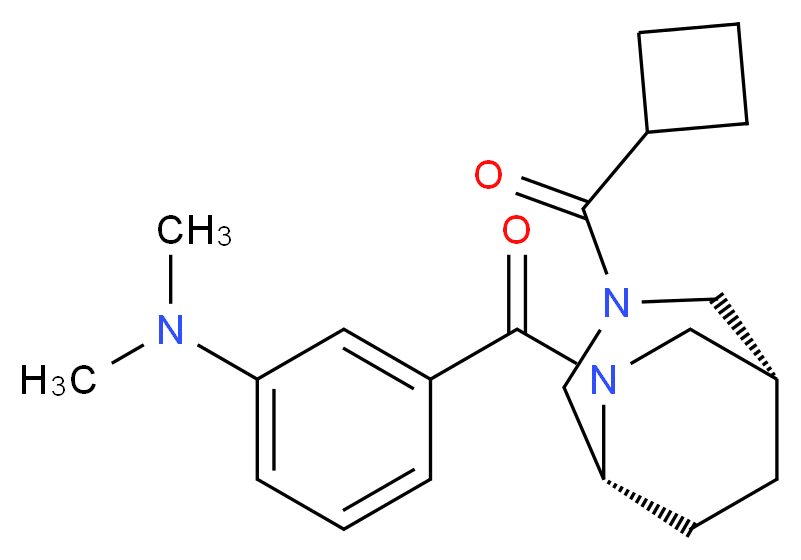 (3-{[(1S*,5R*)-3-(cyclobutylcarbonyl)-3,6-diazabicyclo[3.2.2]non-6-yl]carbonyl}phenyl)dimethylamine_Molecular_structure_CAS_)