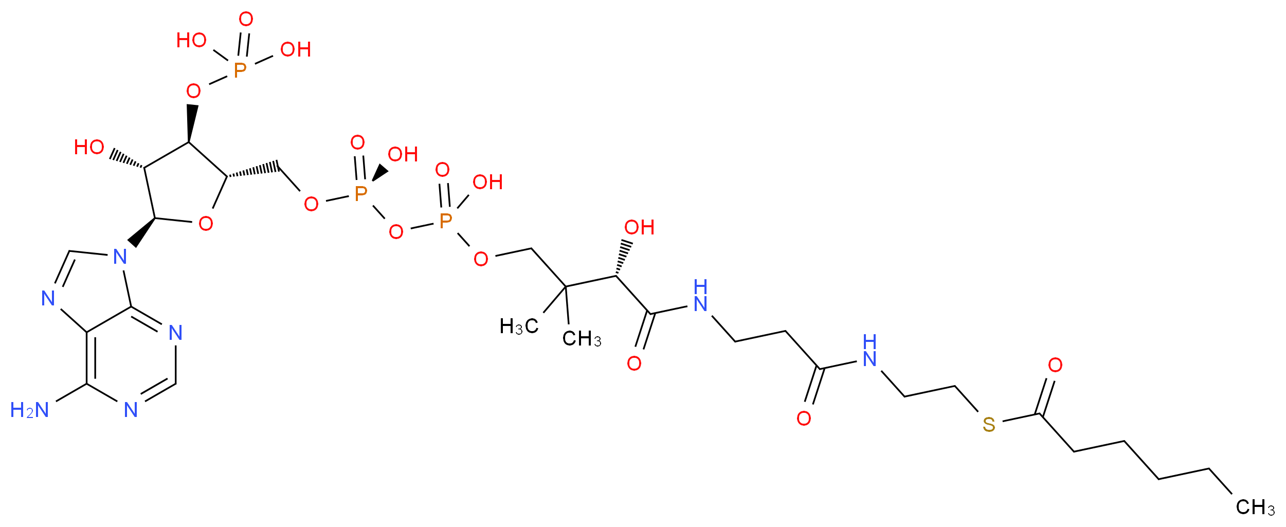 Hexanoyl-Coenzyme A_Molecular_structure_CAS_5060-32-2)