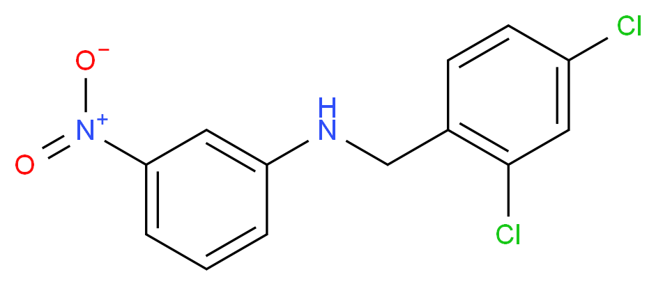 N-(2,4-Dichlorobenzyl)-N-(3-nitrophenyl)amine_Molecular_structure_CAS_)
