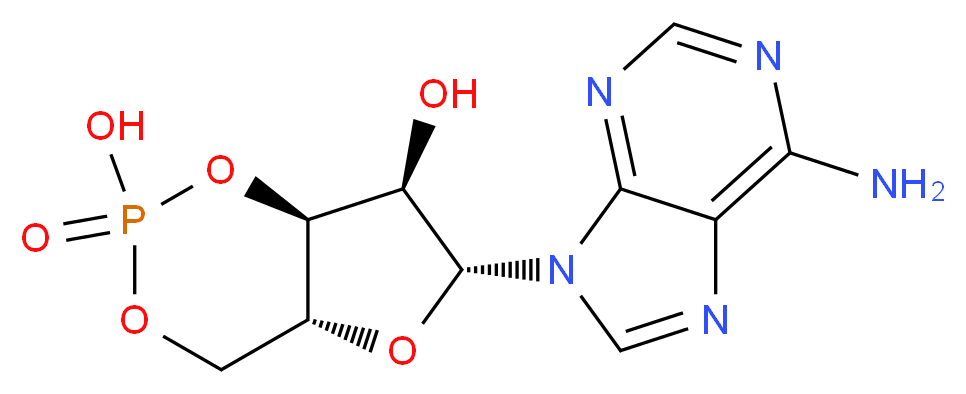 ADENOSINE-3',5'-cyclic-MONOPHOSPHORIC ACID_Molecular_structure_CAS_60-92-4)
