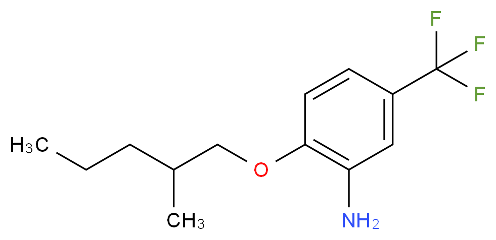2-[(2-Methylpentyl)oxy]-5-(trifluoromethyl)aniline_Molecular_structure_CAS_)